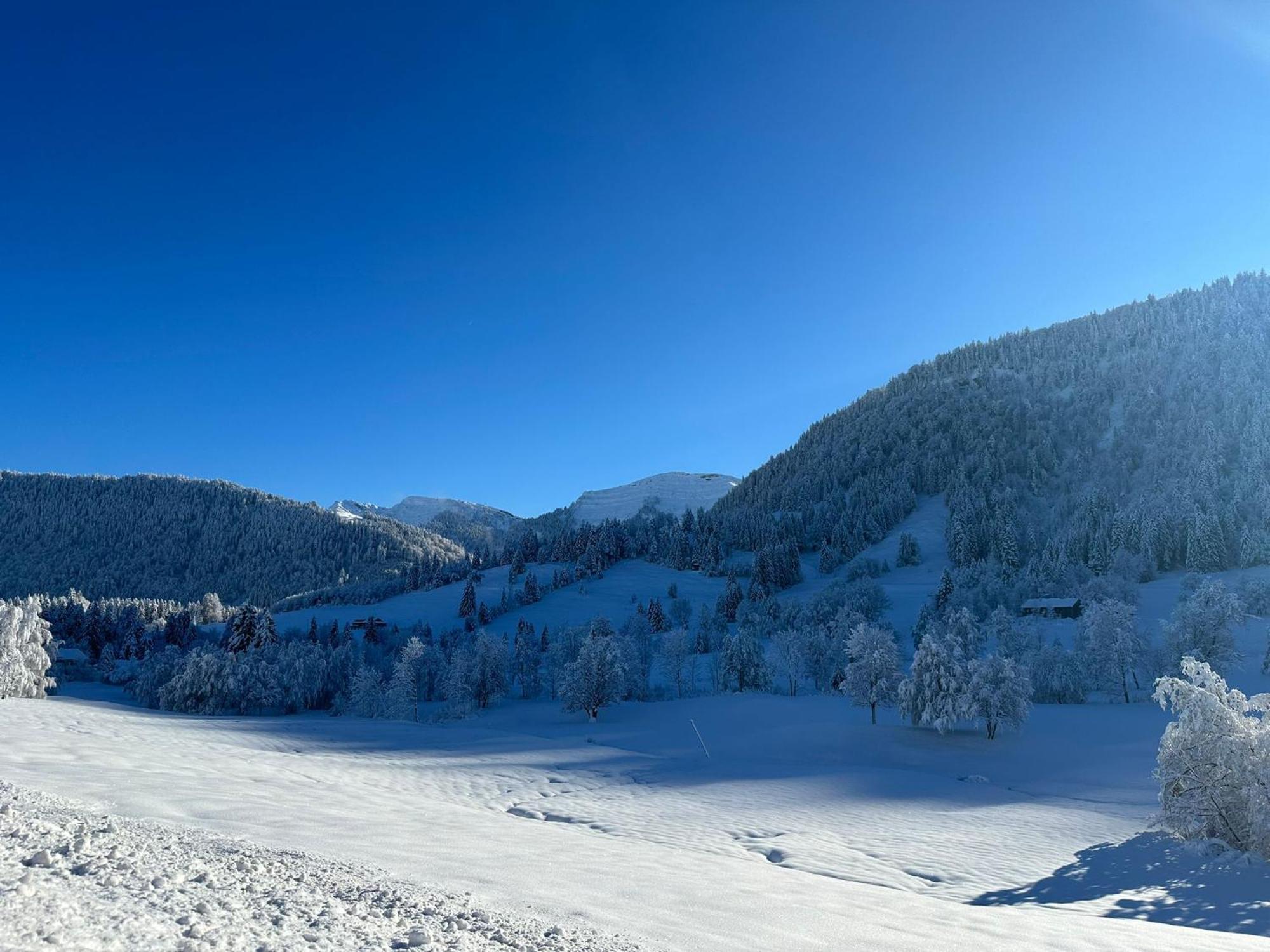 Landhaus Eibelesee Oberstaufen Exteriér fotografie