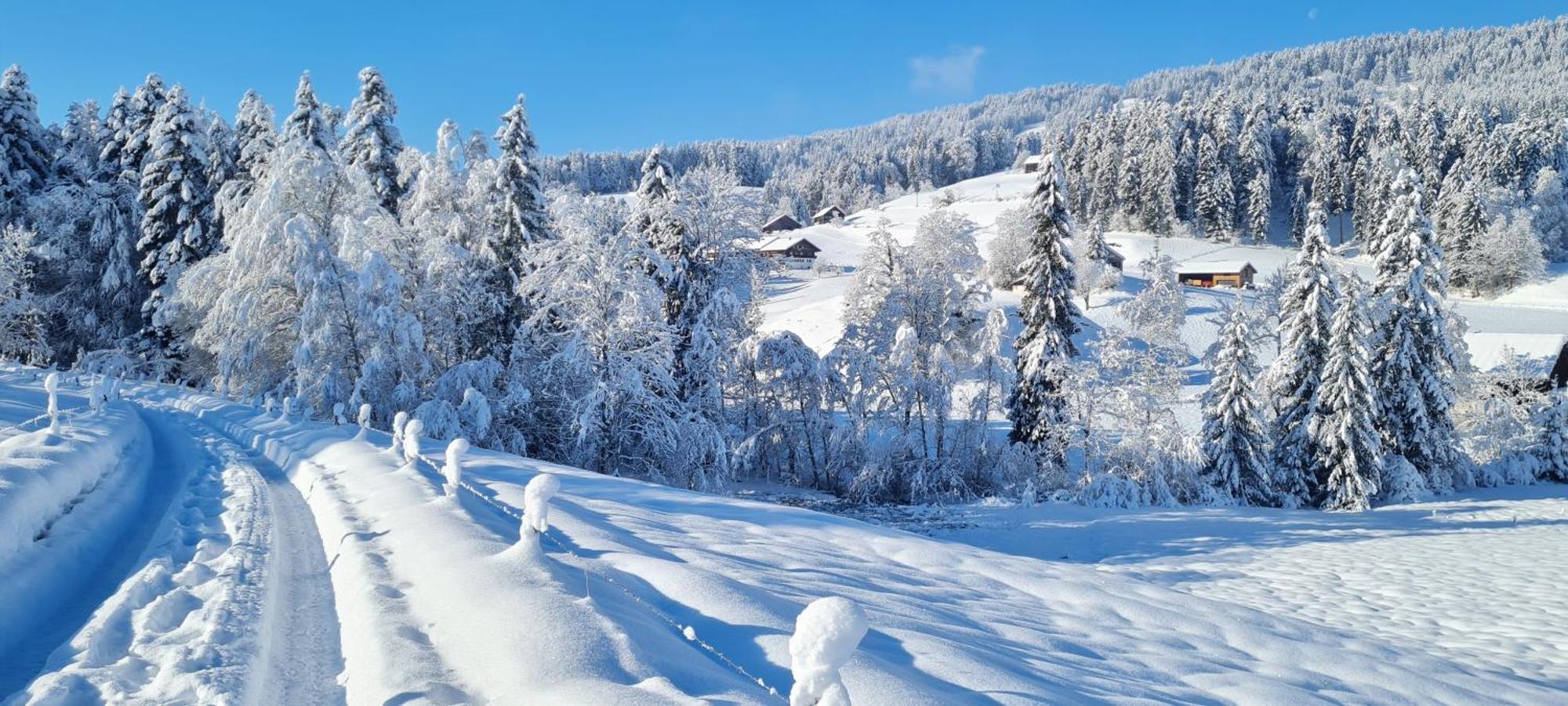 Landhaus Eibelesee Oberstaufen Exteriér fotografie