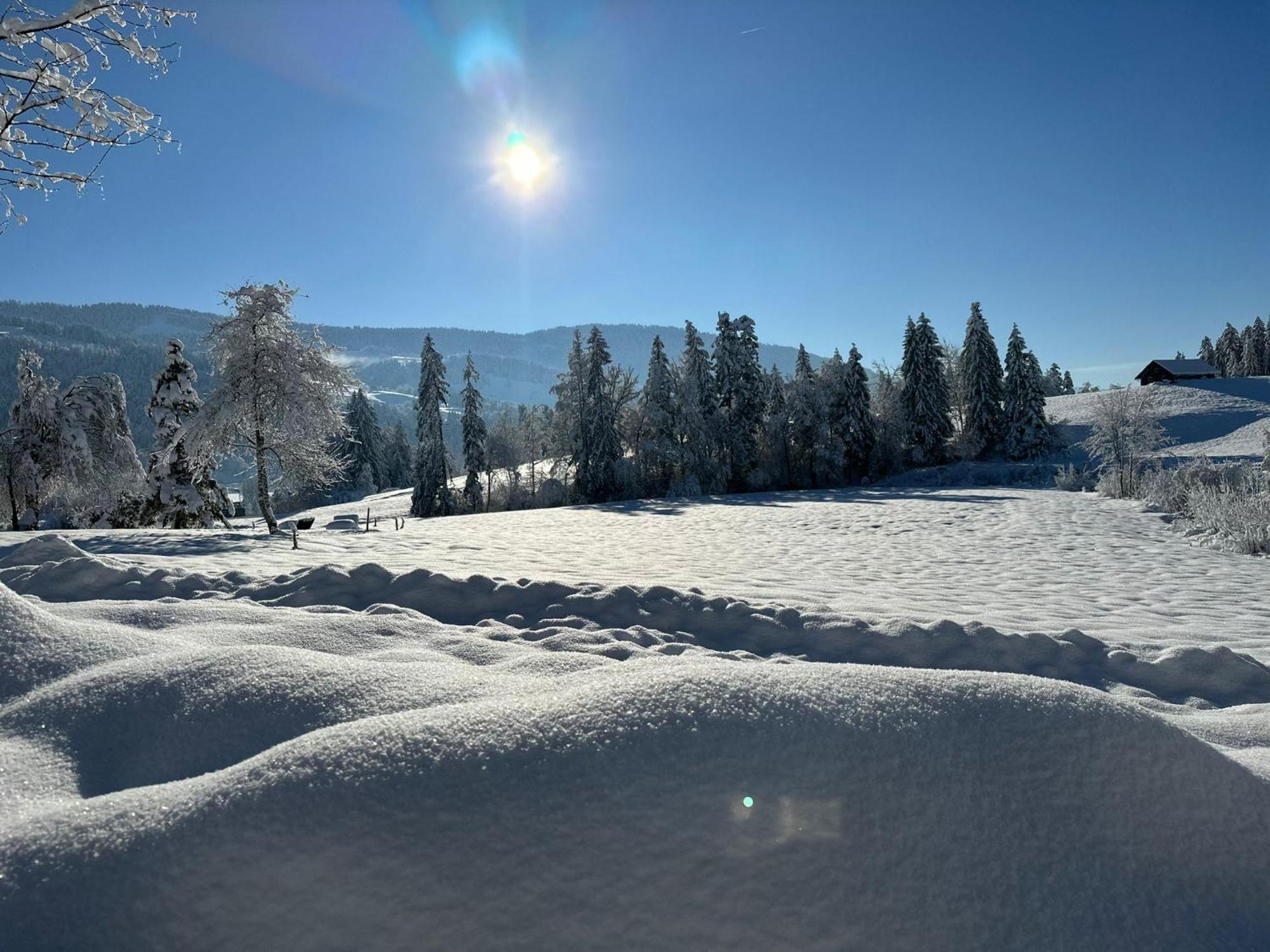 Landhaus Eibelesee Oberstaufen Exteriér fotografie