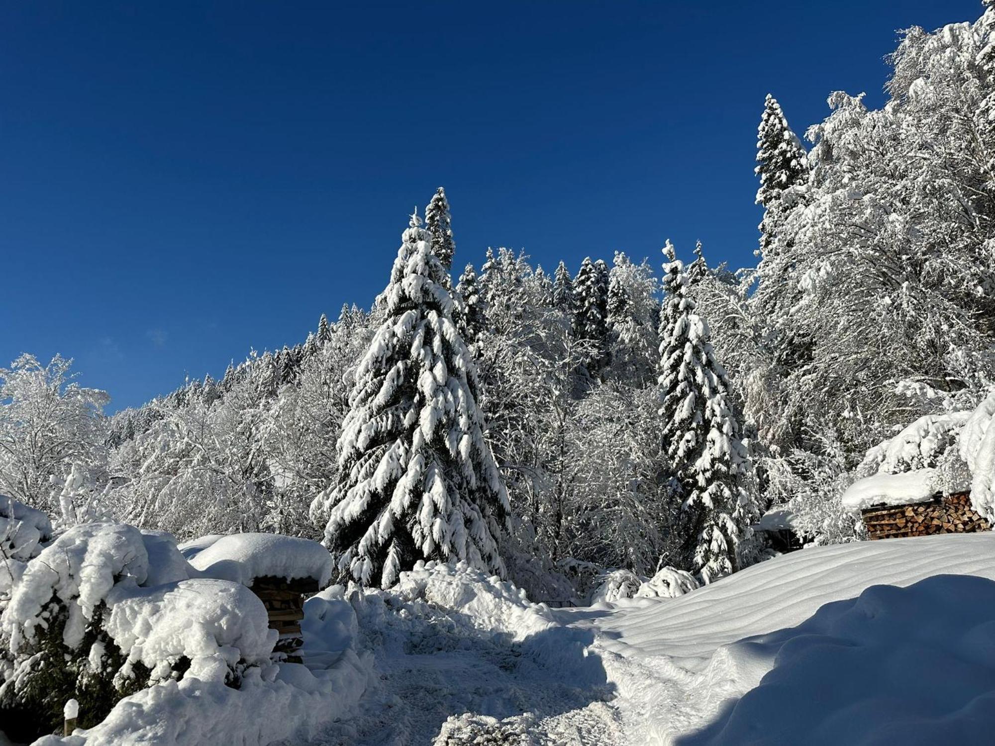 Landhaus Eibelesee Oberstaufen Exteriér fotografie